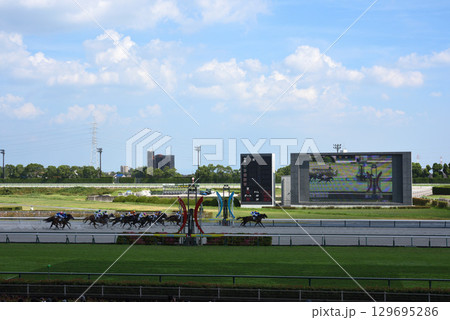 真夏の中京競馬場 真夏の中京競馬場 129695286