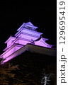 ライトアップされた夜のお城 129695419