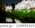 水面に映る夜桜 129695420