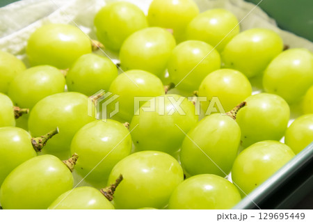 ぶどうの保存方法 ぶどうの保存方法 129695449