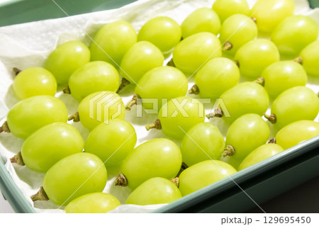 ぶどうの保存方法 129695450
