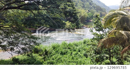 マハウェリ川の景色【スリランカ】 129695785