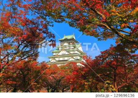 【大阪府】快晴の大阪城と紅葉 129696136