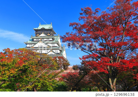 【大阪府】快晴の大阪城と紅葉 【大阪府】快晴の大阪城と紅葉 129696138