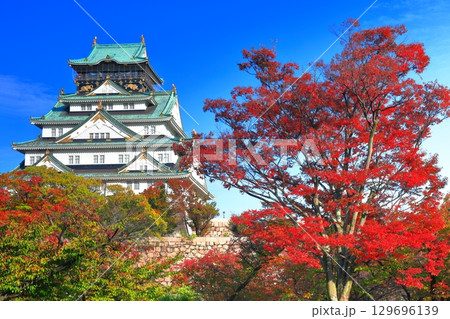 【大阪府】快晴の大阪城と紅葉 129696139