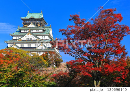 【大阪府】快晴の大阪城と紅葉 【大阪府】快晴の大阪城と紅葉 129696140
