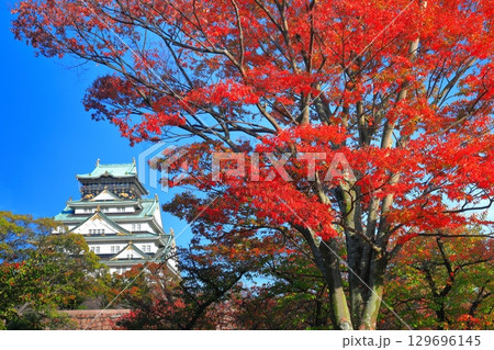 【大阪府】快晴の大阪城と紅葉 【大阪府】快晴の大阪城と紅葉 129696145