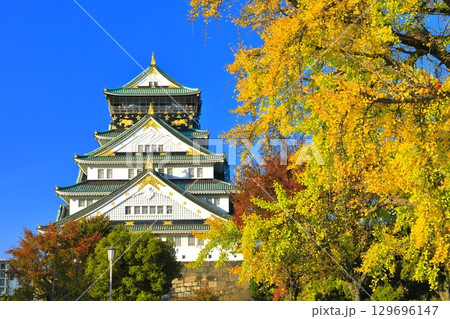 【大阪府】快晴の大阪城と銀杏 129696147
