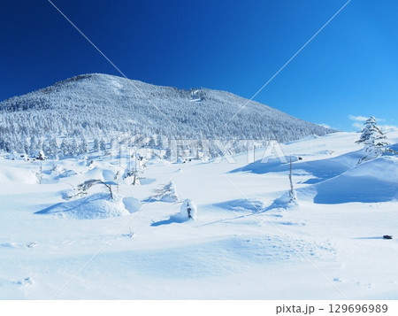冬の北八ヶ岳・坪庭から望む縞枯山 129696989