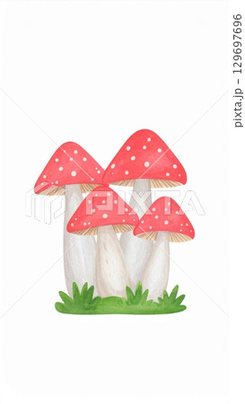 Four Red And White Spotted Mushrooms Growing In Green Grass Patch In Forest 129697696