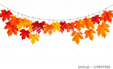 Colorful Autumn Maple Leaves Garland Decoration on a Clean White Background 129697880
