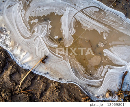 Frozen Puddle Surface with Intricate Ice Patterns and Muddy Background on a Sunny Day 129698014