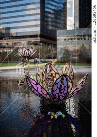 池に浮かぶ花 アート 池に浮かぶ花 アート 129698456
