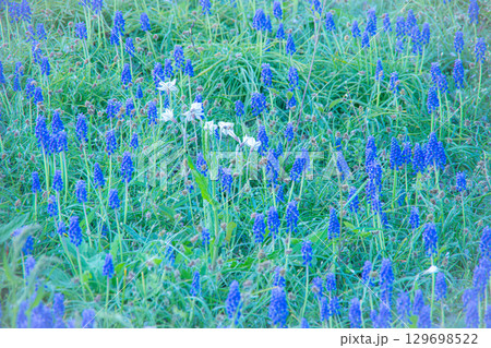 個性開花 129698522