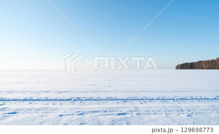 Vast White Snow Field Under Clear Blue Sky with Distant Trees on Horizon Vast White Snow Field Under Clear Blue Sky with Distant Trees on Horizon 129698773