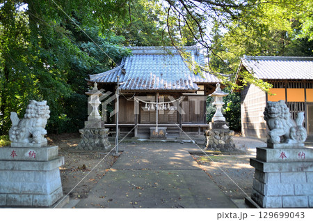 埼玉県深谷市折之口の八幡神社 129699043