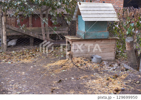 Rustic wooden dog house in leafy backyard with metal feeding bowl near chicken 129699950