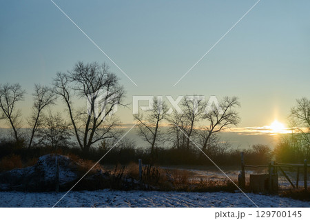 Winter sunrise over snowy landscape with bare trees and clear sky in tranquil 129700145