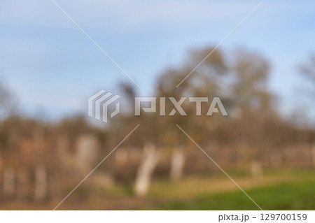 Abstract blurred autumn landscape with trees and sky in soft focus Abstract blurred autumn landscape with trees and sky in soft focus 129700159