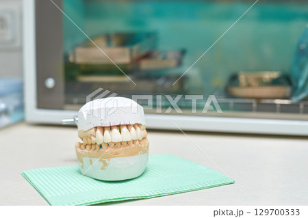 Dental model of human teeth on light green surface in dental office laboratory 129700333