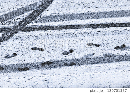 大雪の朝 129701387