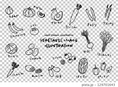 かわいい手描きの野菜イメージイラストセット 129701643