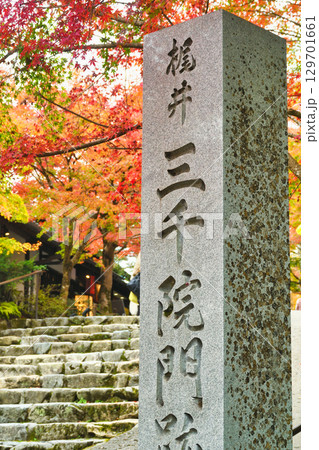 大原　三千院　階段前　美しい紅葉　（京都府京都市左京区） 129701661