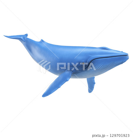 Realistic 3D rendering of blue whale, showcasing its massive size and distinct features, such as streamlined body and large flippers, against transparency background 129701923