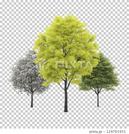 Three trees in different stages of foliage, showcasing seasonal changes with vibrant green, lush yellow, and frosty white leaves. image captures beauty of nature cycle Three trees in different stages of foliage, showcasing seasonal changes with vibrant green, lush yellow, and frosty white leaves. image captures beauty of nature cycle 129701931