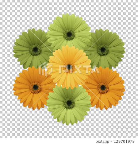 Vibrant arrangement of green and orange gerbera daisies forms symmetrical pattern, creating cheerful and lively floral display. bright colors and circular arrangement evoke sense of harmony Vibrant arrangement of green and orange gerbera daisies forms symmetrical pattern, creating cheerful and lively floral display. bright colors and circular arrangement evoke sense of harmony 129701978