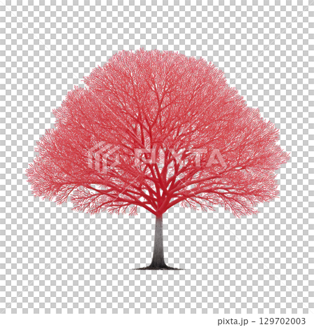 Vibrant red tree with intricate branches stands against plain background, showcasing its unique and striking appearance. tree vivid color and detailed structure create captivating visual 129702003