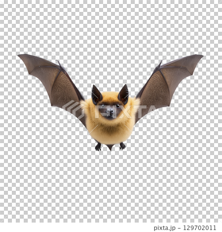Bat with outstretched wings is flying against transparency background, showcasing its detailed fur and wing structure. image captures bat unique features and natural beauty 129702011