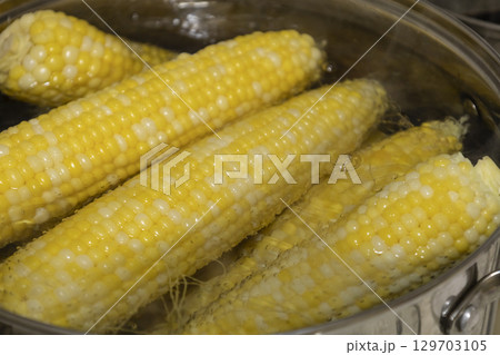 Cobs of sweet corn in a pot of water boiled. Cooking sweet corn in saucepan. Tasty corn on cobs Cobs of sweet corn in a pot of water boiled. Cooking sweet corn in saucepan. Tasty corn on cobs 129703105