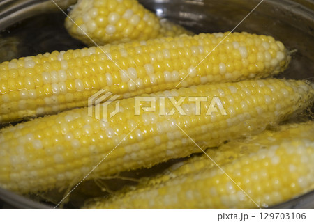 Cobs of sweet corn  in a pot of water boiled. Cooking sweet corn in saucepan. Tasty corn on cobs 129703106