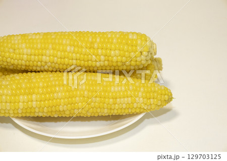 Three cooked cob of sweet corn on white plate against background. Tasty sweet corn on cob. 129703125