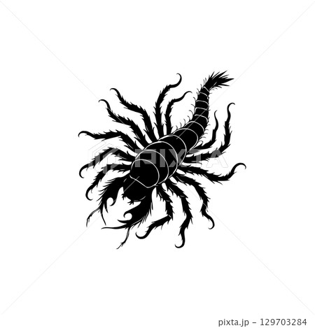 Striking vector illustration of a scorpion isolated on white background 129703284