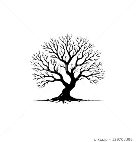 Elegant Black and White Silhouette of a Bare Tree Against a Clean Background Elegant Black and White Silhouette of a Bare Tree Against a Clean Background 129703399