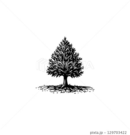 Elegant minimalist tree illustration with intricate details, roots, and branches 129703422