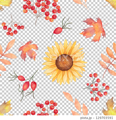 Seamless pattern with sunflower and fly agaric, rosehip, rowan, maple leaf. Watercolor illustration. Hand drawn isolated botanical art. Background with berries, mushrooms, flower for Thanksgiving 129703591