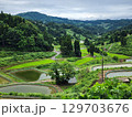 棚田　棚池　風景　水田　山　山古志　旅行 129703676