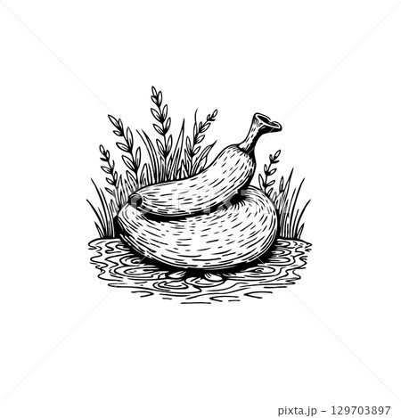Whimsical Banana Resting on a Round Object Amidst Grass in Monochrome Illustration 129703897
