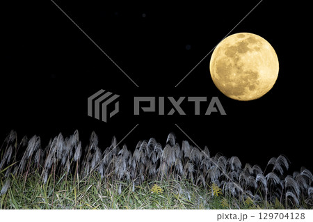秋のお月見イメージ。中秋の名月の満月とススキ 129704128
