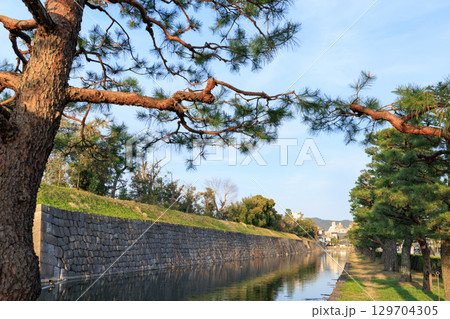 京都の二条城の夕景 外堀 (京都府京都市中京区) 129704305