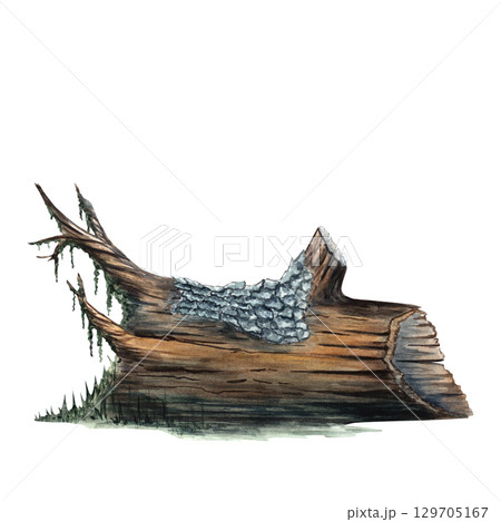 Watercolor illustration of an old tree stump with moss. Great for forest themes, rustic decor, eco designs, educational materials, fairy tales, and natural landscape projects 129705167