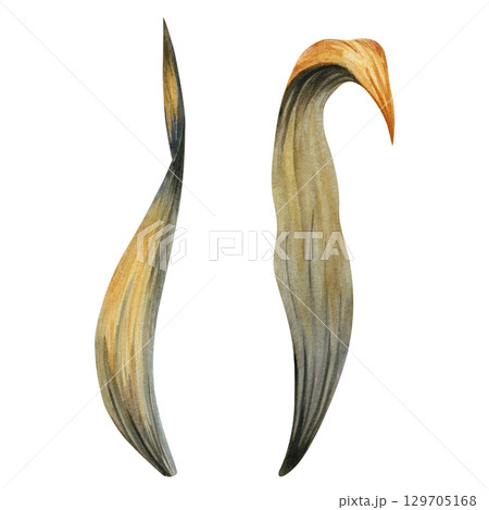 Watercolor illustration of dried autumn leaves in warm tones. Great for seasonal decor, invitations, scrapbooking, natural designs, eco themes, and rustic elements Watercolor illustration of dried autumn leaves in warm tones. Great for seasonal decor, invitations, scrapbooking, natural designs, eco themes, and rustic elements 129705168