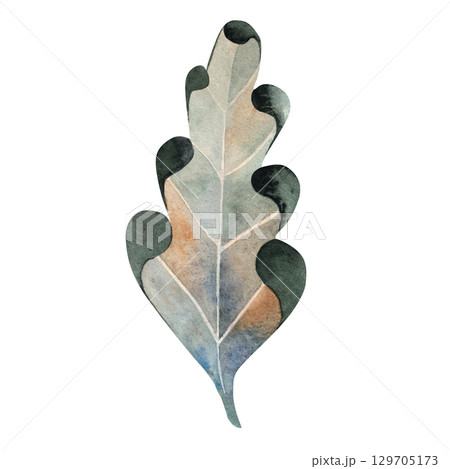 Watercolor illustration of a green oak leaf. Ideal for botanical themes, eco packaging, seasonal decor, nature projects, educational materials, cards, and rustic compositions 129705173
