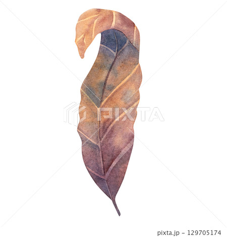 Watercolor illustration of dried autumn leaves in warm tones. Great for seasonal decor, invitations, scrapbooking, natural designs, eco themes, and rustic elements Watercolor illustration of dried autumn leaves in warm tones. Great for seasonal decor, invitations, scrapbooking, natural designs, eco themes, and rustic elements 129705174