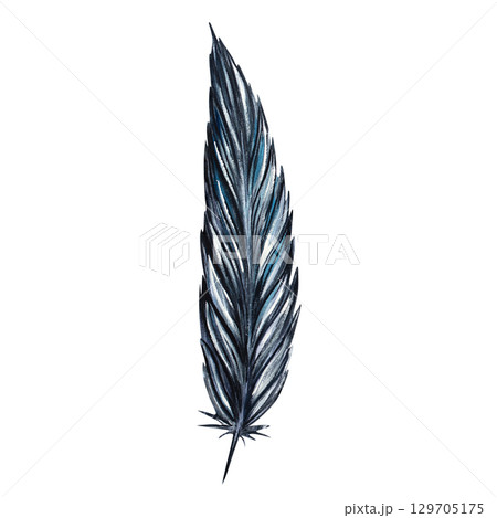 Watercolor illustration of bird, raven, crow feather in natural shades. Great for boho style, tribal designs, nature prints, craft projects, rustic elements, scrapbooking, and textile patterns 129705175