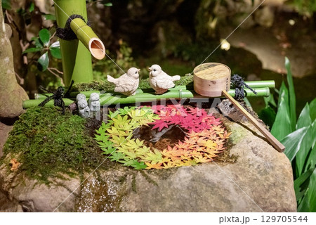 京都の紅葉花手水と竹細工が彩る和の景色 京都の紅葉花手水と竹細工が彩る和の景色 129705544