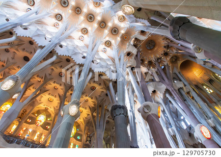 サグラダ・ファミリア 129705730